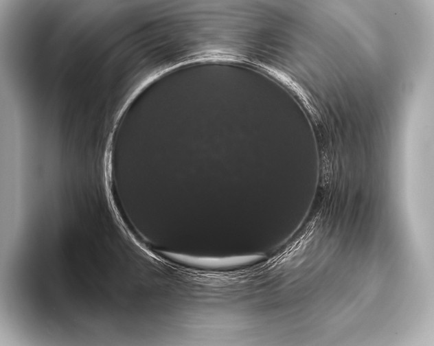 X0000093401383200710260908