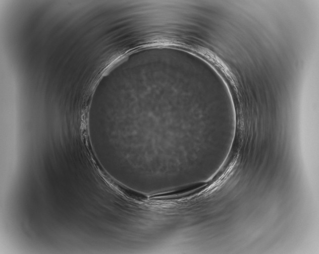 X0000093401385200710260908