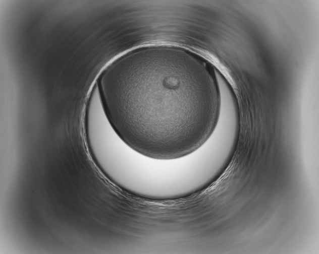 X0000093401388200710260908