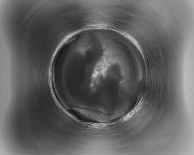 X0000093401389200710260908