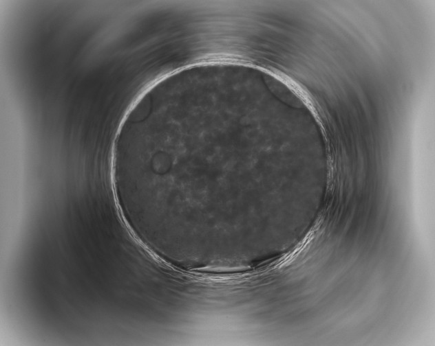 X0000093401390200710260908