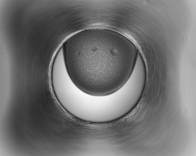 X0000093401392200710260908