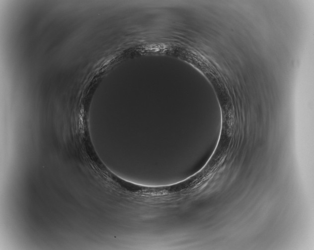 X0000093401394200710260907