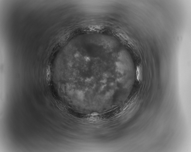 X0000093401395200710260907