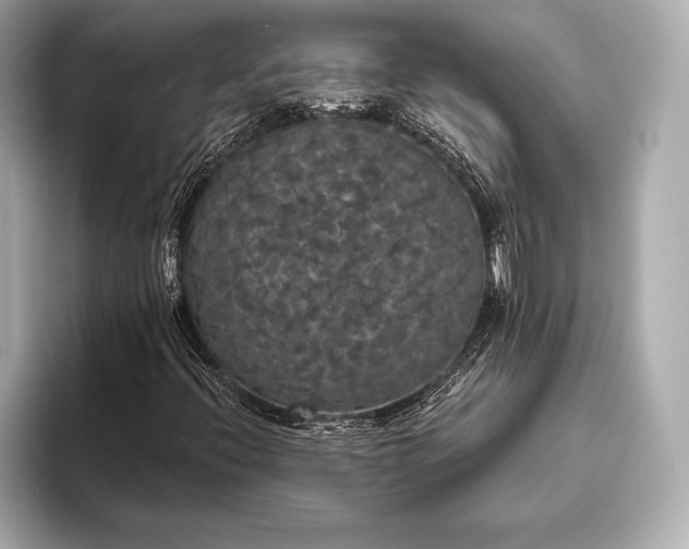 X0000093401396200710260907