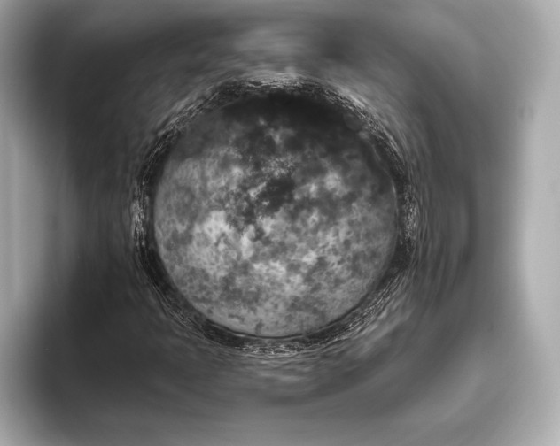 X0000093401397200710260907