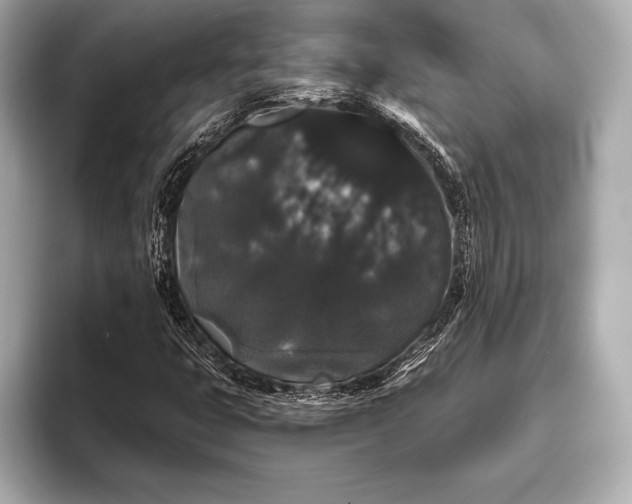 X0000093401399200710260907