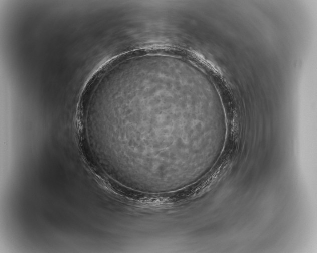 X0000093401400200710260907