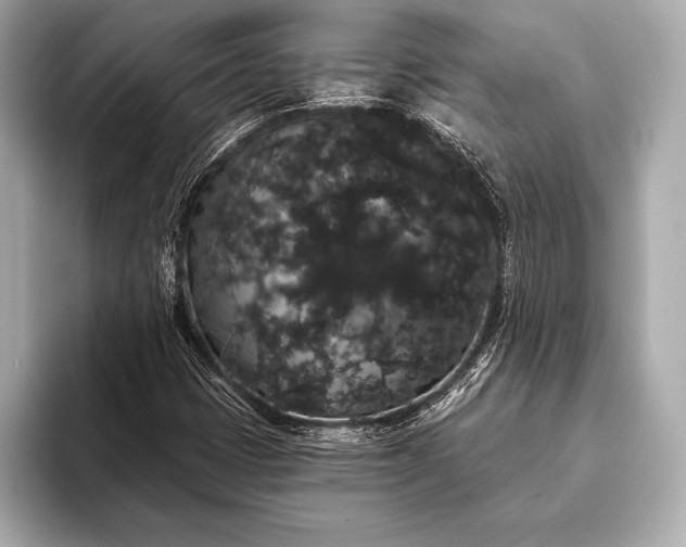 X0000093401401200710260907