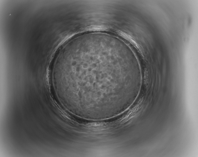 X0000093401404200710260907