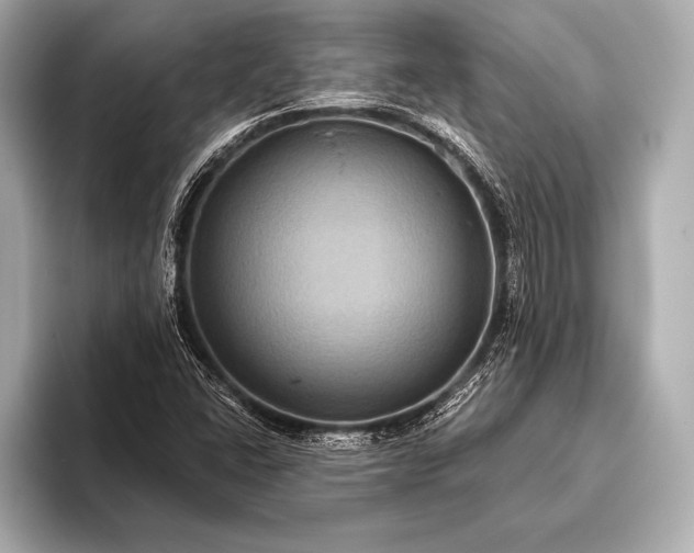 X0000093401406200710260907