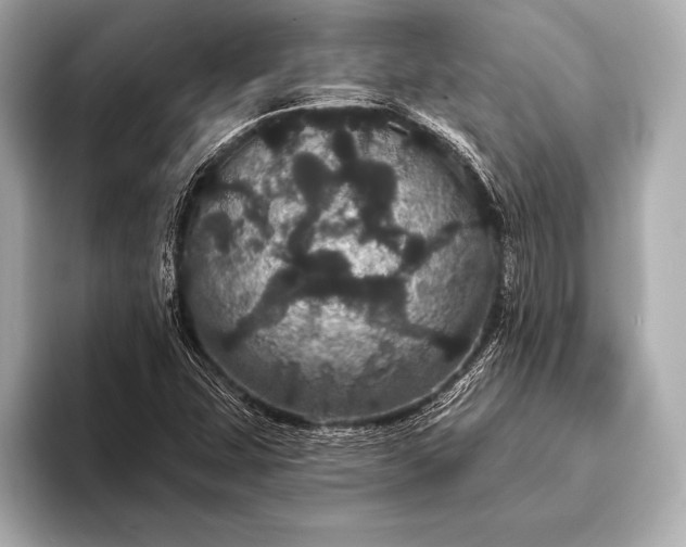 X0000093401407200710260907