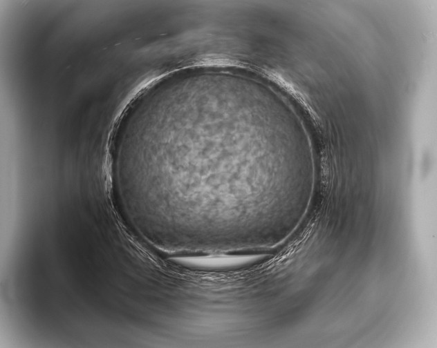 X0000093401408200710260907