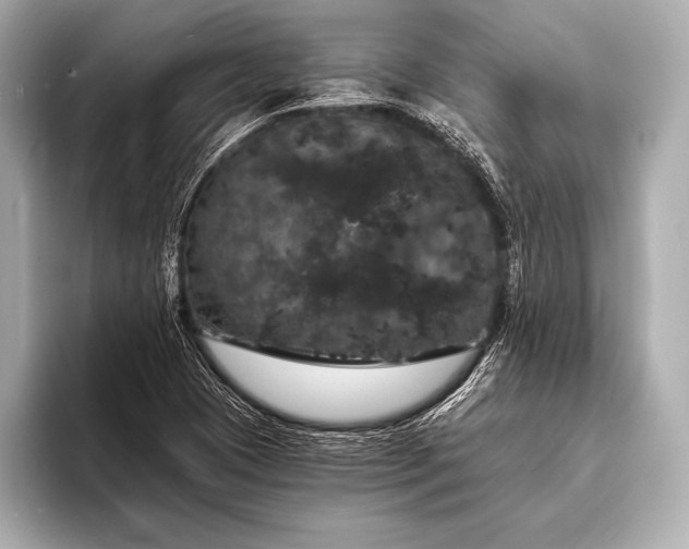 X0000093401409200710260907