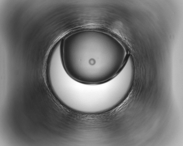 X0000093401410200710260907