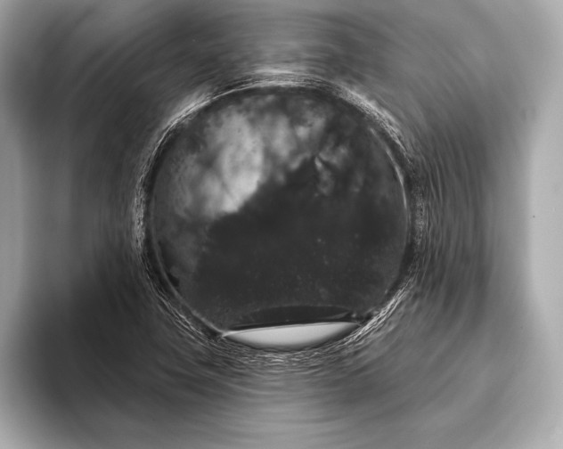 X0000093401411200710260907