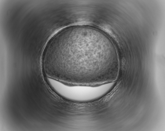 X0000093401412200710260907