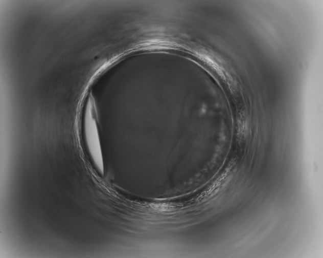 X0000093401413200710260907