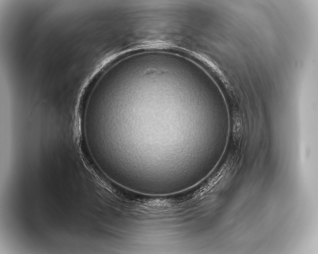 X0000093401414200710260907