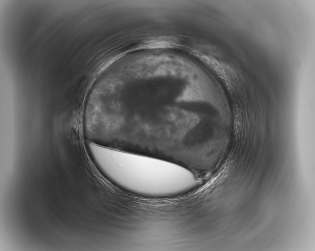 X0000093401417200710260907