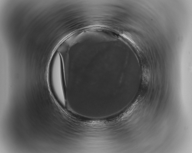 X0000093401418200710260907