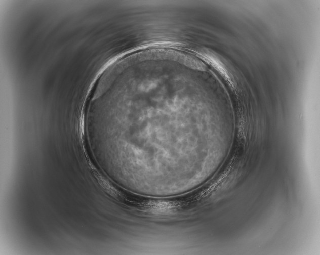 X0000093401420200710260908