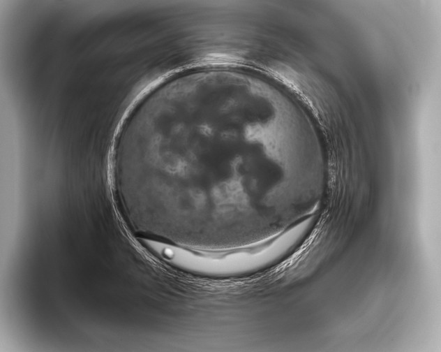 X0000093401421200710260908