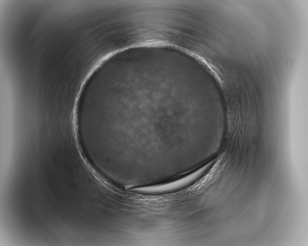 X0000093401422200710260908