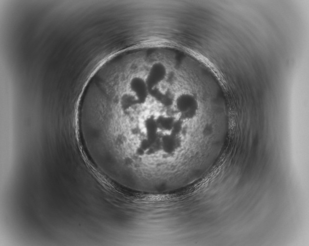 X0000093401423200710260908