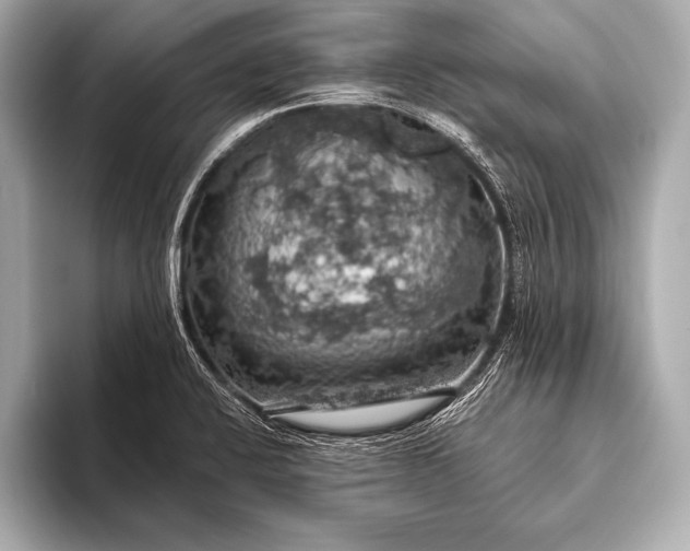 X0000093401424200710260908