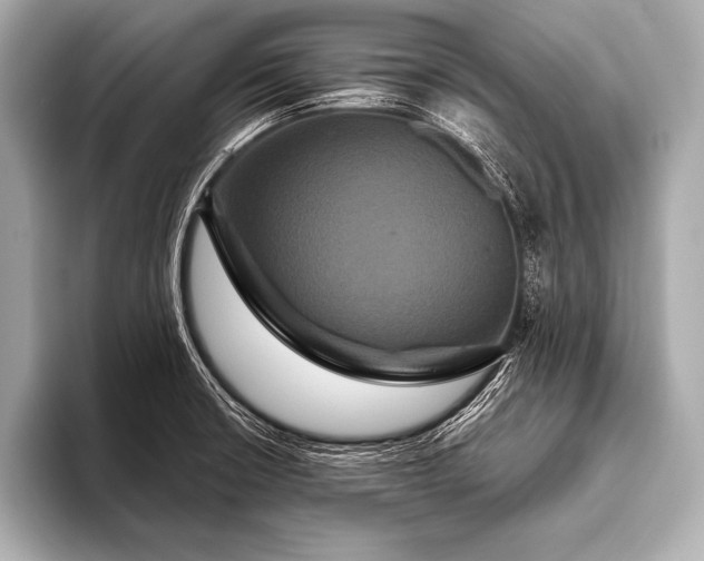 X0000093401426200710260908