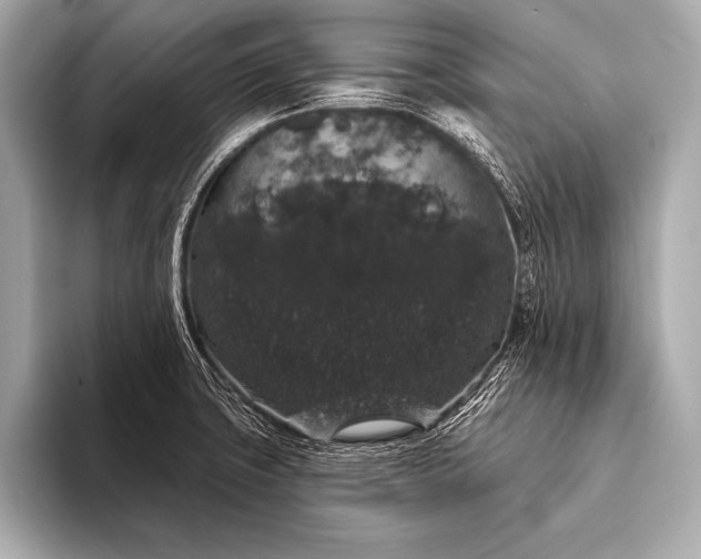 X0000093401427200710260908