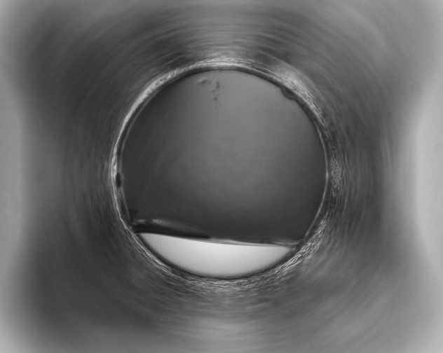 X0000093401428200710260908