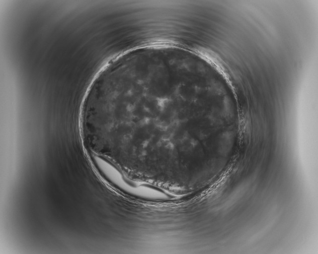 X0000093401429200710260908