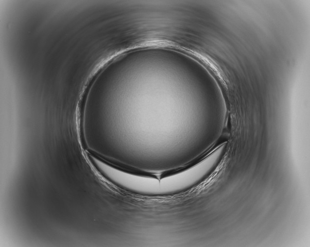 X0000093401430200710260908