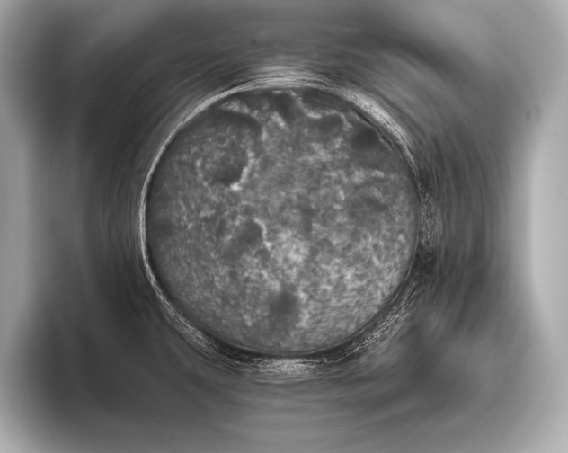 X0000093401431200710260908