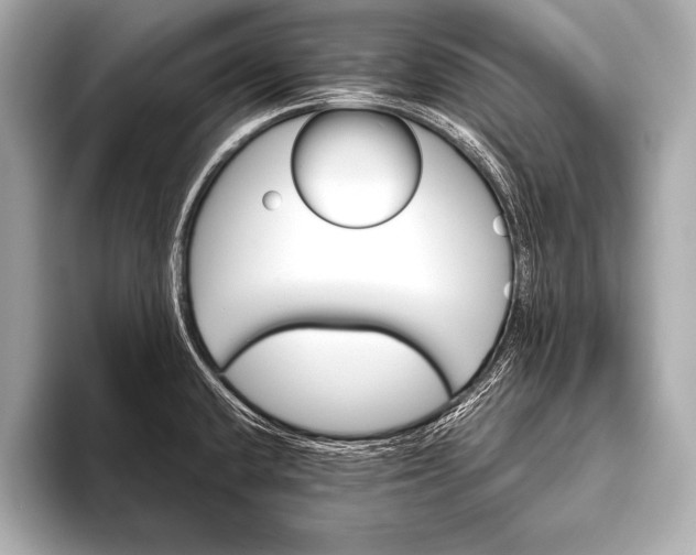 X0000093401432200710260908