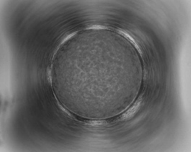 X0000093401433200710260908