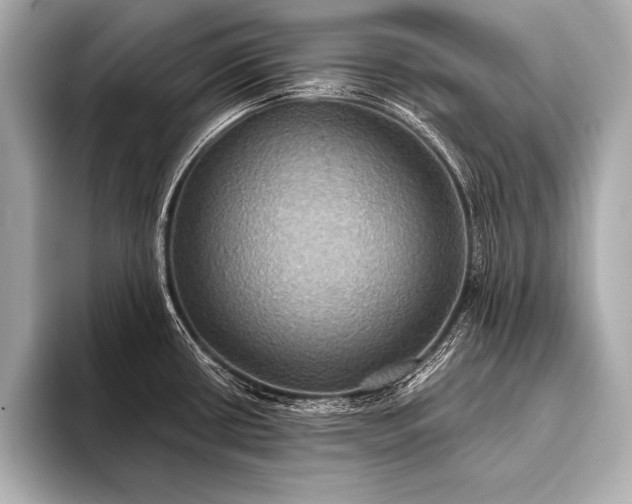 X0000093401434200710260908