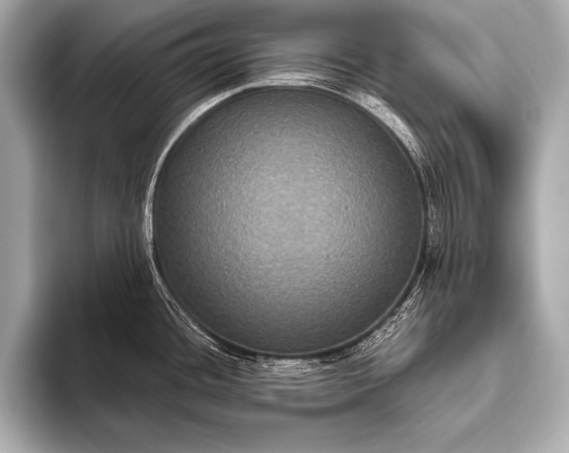 X0000093401436200710260908