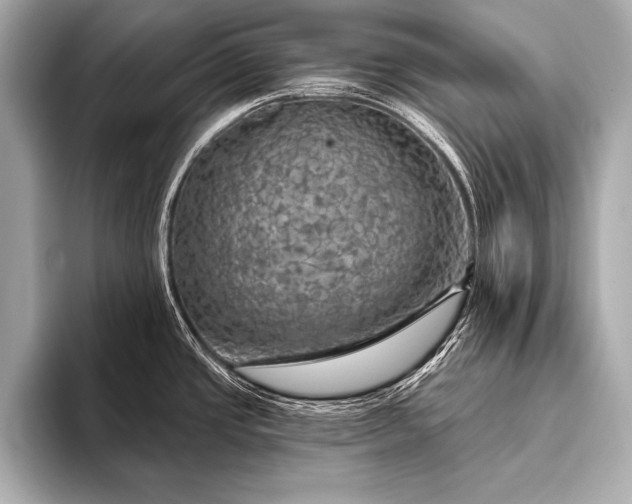 X0000093401437200710260908