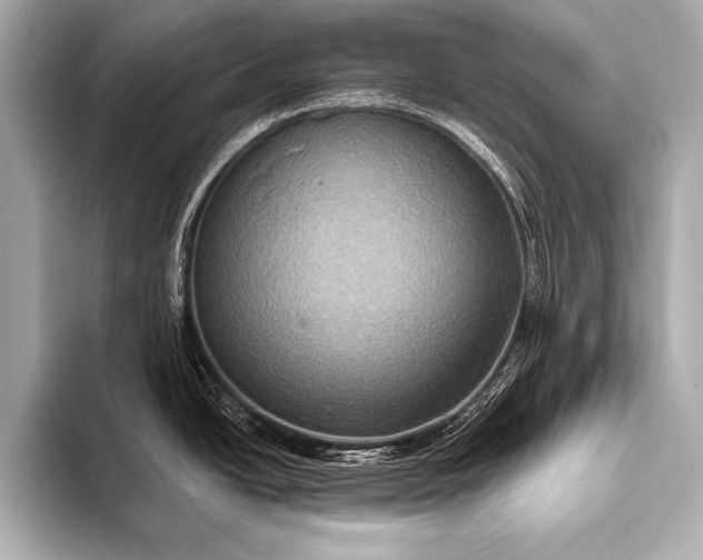 X0000093401438200710260908