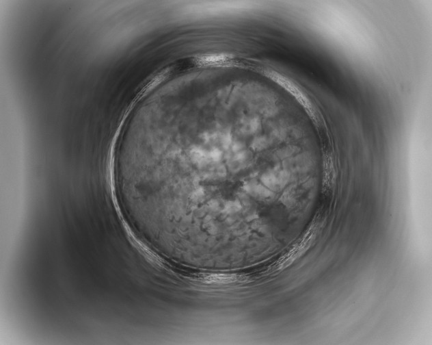 X0000093401439200710260908