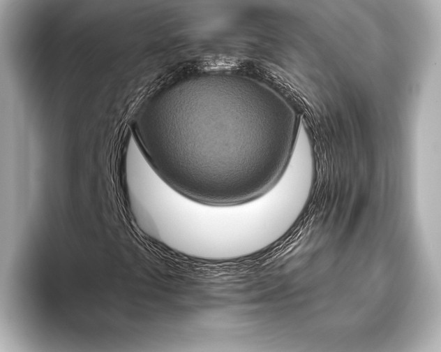 X0000093401441200710260907