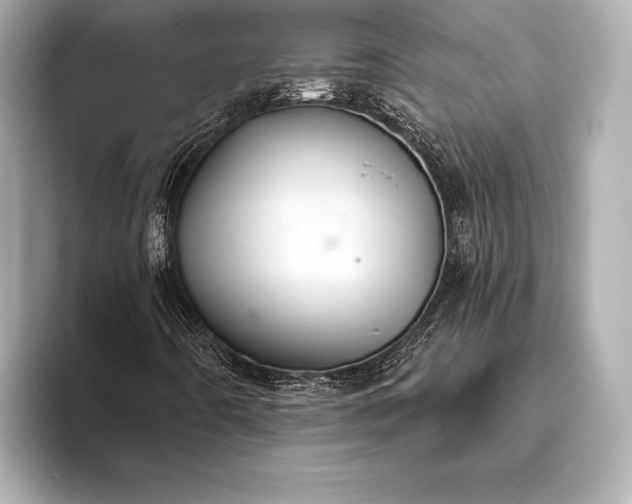 X0000093401442200710260907