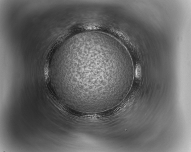 X0000093401444200710260907