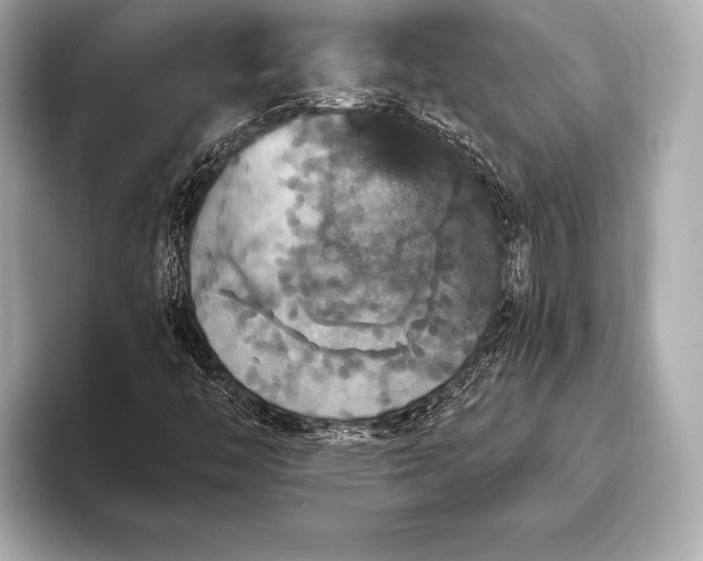 X0000093401446200710260907