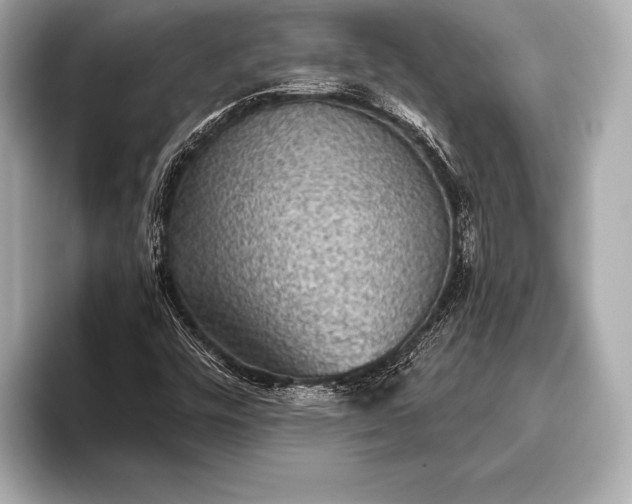 X0000093401448200710260907