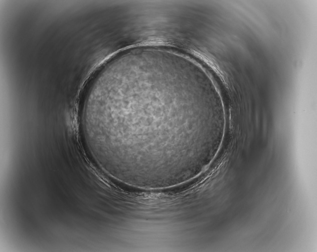 X0000093401452200710260907