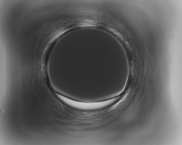 X0000093401453200710260907